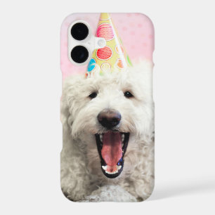 Goldendoodle With Party Hat