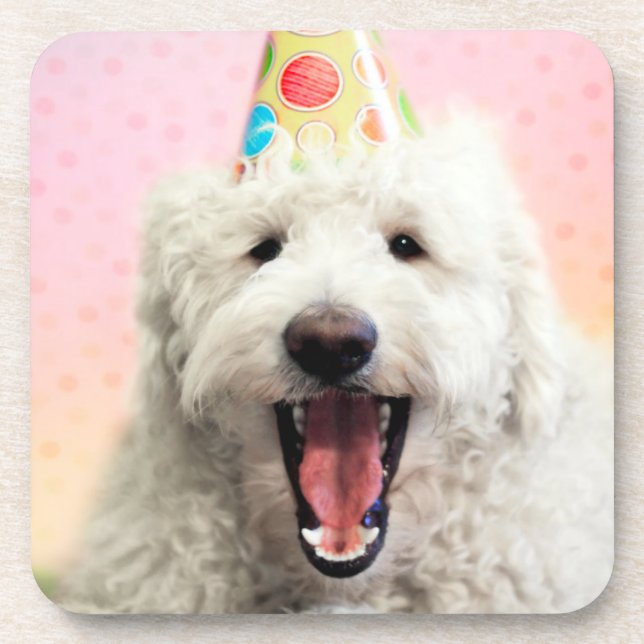 Goldendoodle With Party Hat Coaster (Front)
