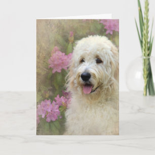 Goldendoodle with Texture Card