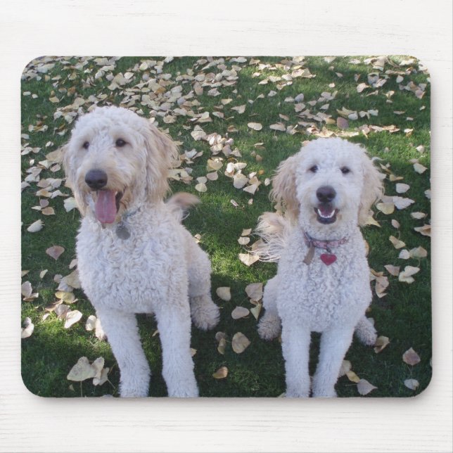 GoldenDoodles in the Fall Leaves Mouse Pad (Front)