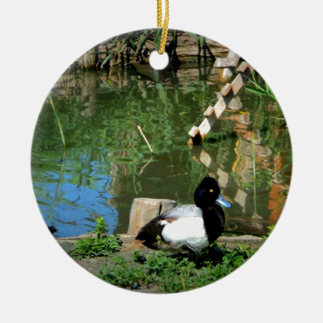 goldeneye duck at the pond ceramic tree decoration (Front)