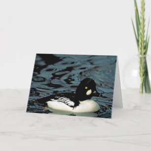 Goldeneye Duck Card