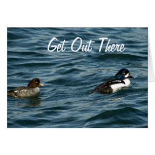 Goldeneye Ducks Out There