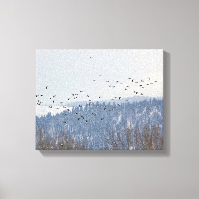 Goldeneye Flight Canvas Print (Front)