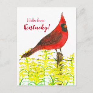 Goldenrod Cardinal Hello From Kentucky Postcard