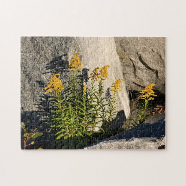 Goldenrod Flowers And Shadows Nature Jigsaw Puzzle (Horizontal)