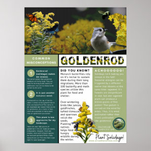 Goldenrod Misconceptions and Facts Poster
