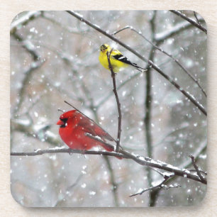 Goldfinch And Cardinal Coaster