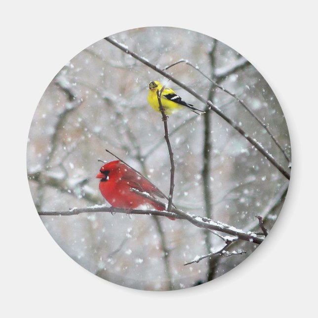 Goldfinch And Cardinal Magnet (Front)