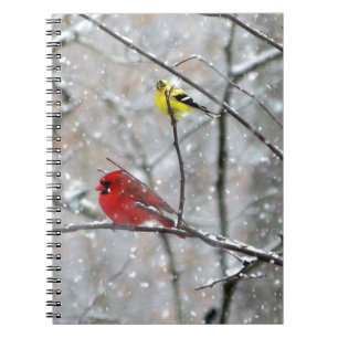 Goldfinch And Cardinal Notebook