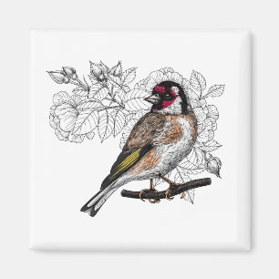 Goldfinch and roses magnet
