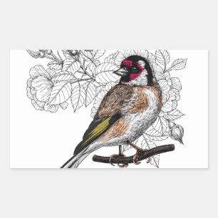 Goldfinch and roses rectangular sticker