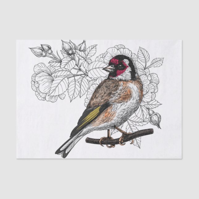 Goldfinch and roses tissue paper (Front)