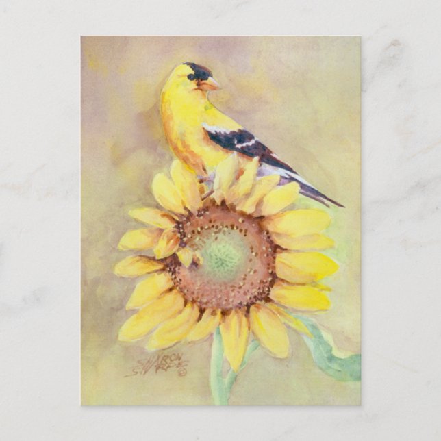GOLDFINCH AND SUNFLOWER by SHARON SHARPE Postcard (Front)