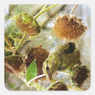 Goldfinch and Sunflowers Square Sticker