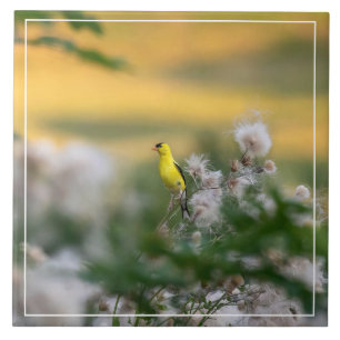 Goldfinch And Thistle Autumn Ceramic Tile