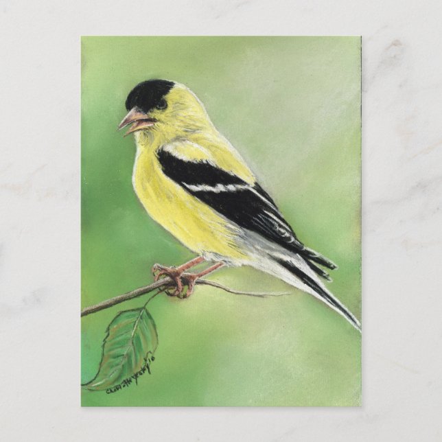 "Goldfinch" Bird Art Postcard (Front)