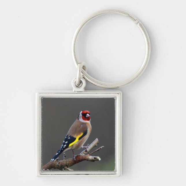 Goldfinch bird key ring (Front)
