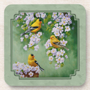 Goldfinch Birds and Flowers Green Coaster