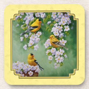 Goldfinch Birds & Apple Blossoms Yellow Coaster