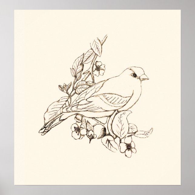 Goldfinch Black Line Drawing, Colour It Poster (Front)