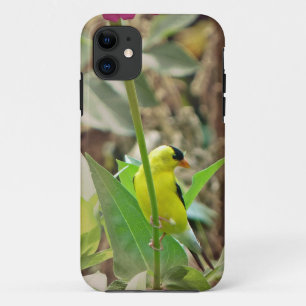 Goldfinch iPhone 11 Case