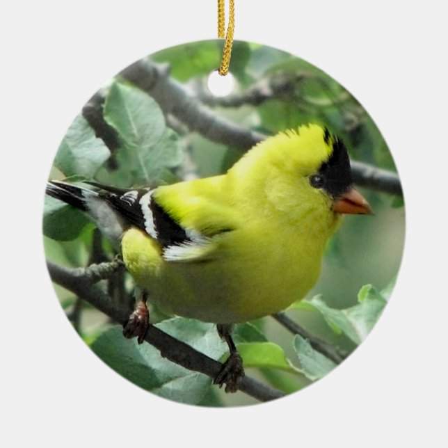 Goldfinch Ceramic Ornament (Front)