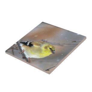 Goldfinch Ceramic Tile