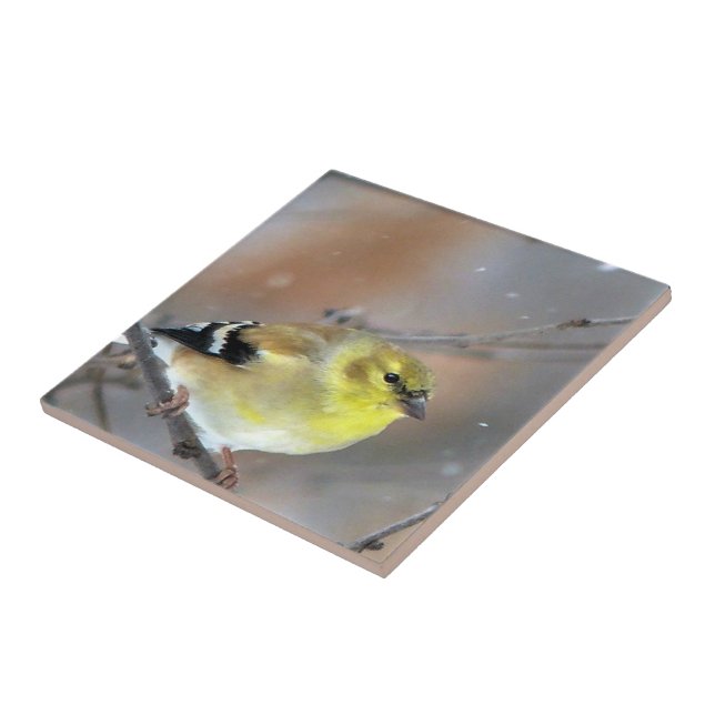 Goldfinch Ceramic Tile (Side)