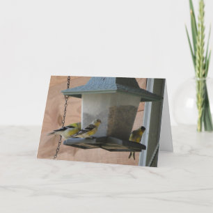 Goldfinch/Cheer Card