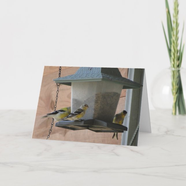 Goldfinch/Cheer Card (Front)