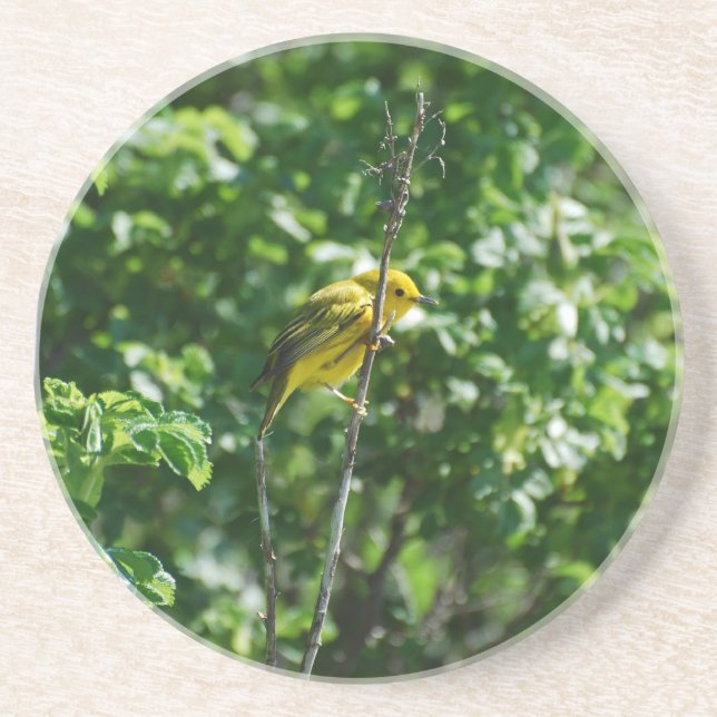 Goldfinch Coaster (Front)