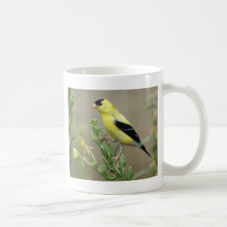 Goldfinch Coffee Mug
