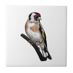 Goldfinch drawing ceramic tile