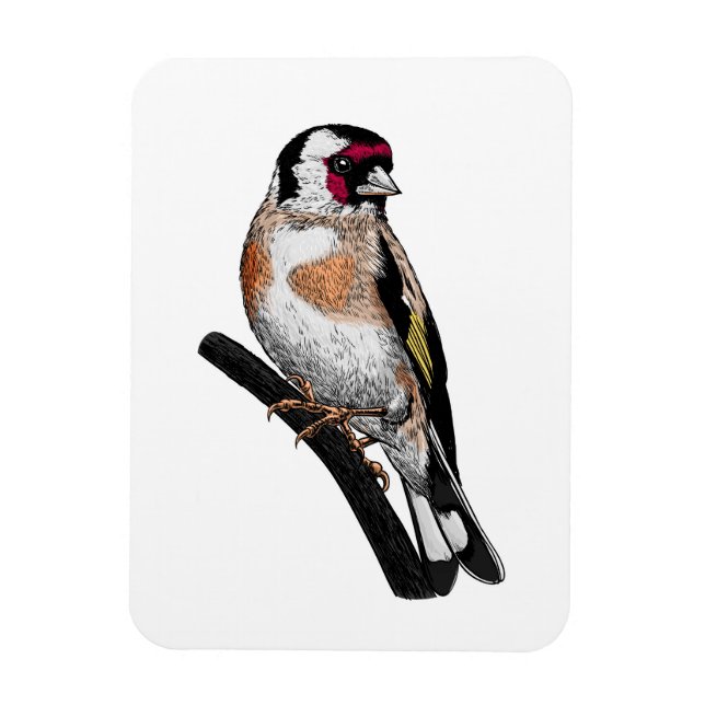 Goldfinch drawing magnet (Vertical)