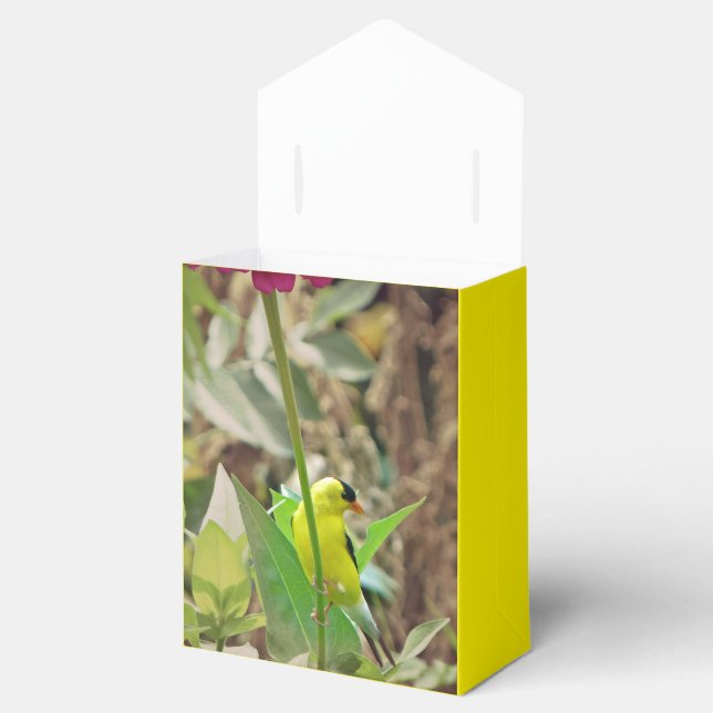 Goldfinch Favour Box (Opened)