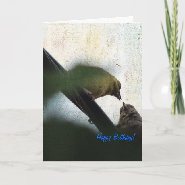 Goldfinch Feeding Chick Happy Birthday Card (Front)