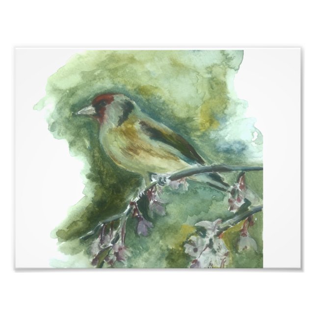 Goldfinch garden bird watercolour print  (Front)