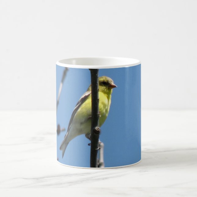 Goldfinch in a tree coffee mug (Center)