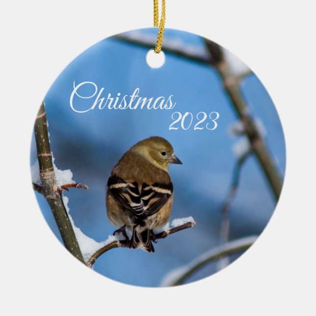 Goldfinch in Winter Photo Ornament (Front)