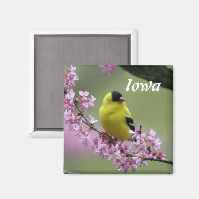 Goldfinch, Iowa State Bird  Magnet (Front/Back)