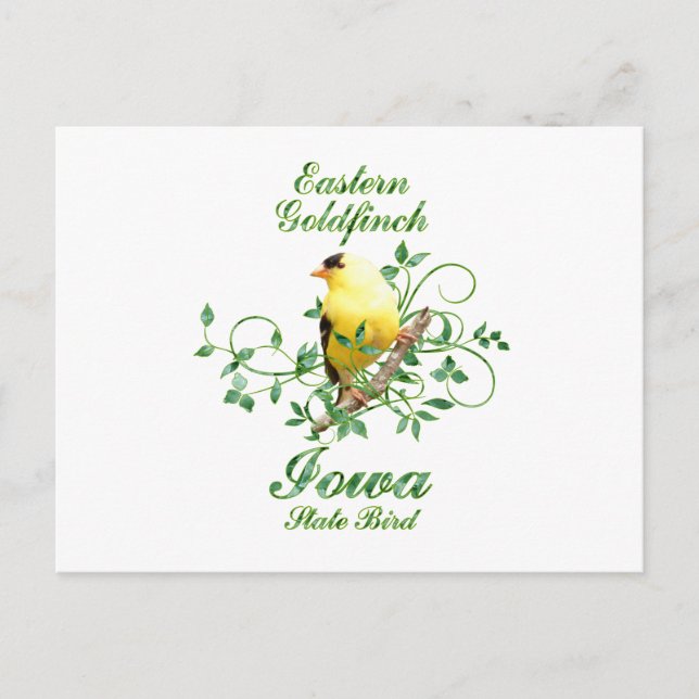 Goldfinch Iowa State Bird Postcard (Front)
