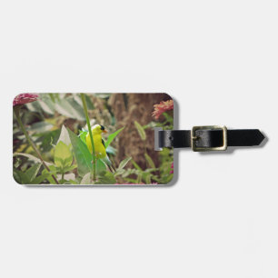 Goldfinch Luggage Tag