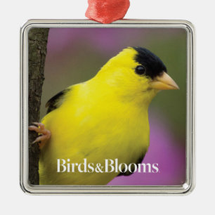 Goldfinch Metal Ornament