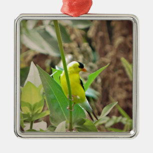 Goldfinch Metal Ornament