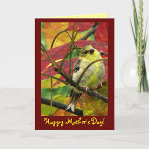 Goldfinch Mother's Day Card