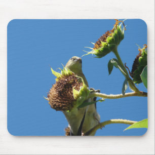 Goldfinch Mouse Pad