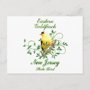 Goldfinch New Jersey State Bird Postcard