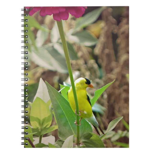 Goldfinch Notebook (Front)