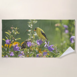 Goldfinch on a Harebell Flower Beach Towel